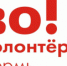 Накануне Пермского марафона будет работать «Школа спортивного волонтера» - PermOnline.Ru