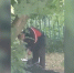 В Перми случайные очевидцы сняли на видео убийство мужчины - Ветта