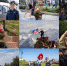 В Приволжском округе прошел отборочный этап фотоконкурса "В объективе Росгвардия" - Росгвардия