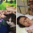 MyCollages (17).jpg - Новости Перми PermNews.Ru