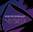 Музей истории Пермского университета представит три проекта об инклюзивности и доступности культурной среды - ПГНИУ