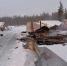 DSC_1159-720x400,720x400.jpg - Новости Перми PermNews.Ru