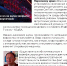 АиФ-Прикамье: «Время тишины. Как не убить соседей, что мешают спать». Комментирует Дмитрий Шляпников, заместитель руководителя Управления Роспотребнадзора по Пермскому краю - Роспотребнадзор