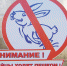 В Перми на автобусных маршрутах доля безбилетников составила 17% - Эхо Москвы Пермь