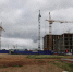 Семейный экогород: фоторепортаж - Газета Наша жизнь