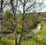 article17245.jpg - 59i.Ru