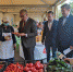 В Перми активисты продолжают мониторинг цен на плодоовощную продукцию - Единая Россия