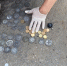 монеты - Газета Пятница