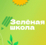 Школьников с 1 по 11 классы приглашают на интерактивные онлайн курсы «Зеленая школа» - Газета Наша жизнь