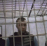Подбросили белый порошок и требовали миллион. Пятеро рэкетиров не смогли обжаловать приговор - ГТРК Пермь