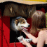 article17384.jpg - 59i.Ru