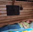 article17399.jpg - 59i.Ru