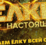елки настоящие - Gorod342.Ru
