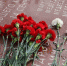 article17432.jpg - 59i.Ru