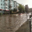 article17470.jpg - 59i.Ru