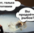 «Попробуй пермское»: осинцы накормили иностранца ухой Беринга - V-Kurse.Ru