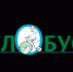 10 лет газете "Глобус": студенты географического факультета запускают медиапроект к юбилею - ПГНИУ