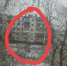В Прикамье неизвестные расстреляли дом со стриптиз-клубом - V-Kurse.Ru