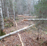 DSCN0396 - Природный парк Пермский