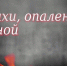 стихи - Базовый медколледж