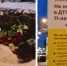 Пермские активисты установили на опасном перекрёстке табличку - VikiPerm.Com