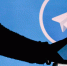 Любимой соцсетью пермяков в 2021 году стал Telegram - V-Kurse.Ru