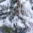 article17881.jpg - 59i.Ru