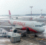 самолёт Red Wings - Новый Компаньон