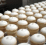 Из Пермского края отправлено 17 тонн мороженого в Китай - Ветта