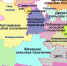 Пермский район – последний в Прикамье претендент на объединение - Solevar.Online