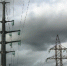 Энергетики  установят птицезащитные устройства на ЛЭП - Новости Перми PermNews.Ru