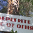 В городских лесах Перми усилено патрулирование - ГТРК Пермь