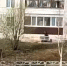В Прикамье орудует вор москитных сеток для окон - V-Kurse.Ru