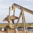 Новак: Половина импортеров российской нефти открыла счета для оплаты в рублях - GlobalPerm.Ru