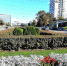 article18389.jpg - 59i.Ru