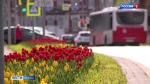 Пермь расцвела