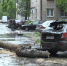 Всего в городе, по предварительным данным, упало около пяти деревьев - Ветта
