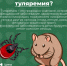 Цикл публикаций о летних инфекциях: что такое туляремия? - ГБУЗ ПК ГКП №5