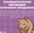 Цикл публикаций о летних инфекциях: что такое геморрагическая лихорадка с почечным синдромом? - ГБУЗ ПК ГКП №5