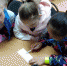 IMG_20220607_123130 - Муниципальные библиотеки