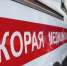 В пермском парке Горького двухлетнего ребенка лягнула лошадь - V-Kurse.Ru