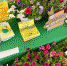 article18480.jpg - 59i.Ru