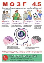 ПРОЕКТ «МОЗГ 4,5»