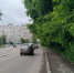 В Перми на улице Столбовой после реконструкции заменят старовозрастные и аварийные деревья - Управление экологии Перми