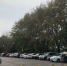 На двух дорогах Перми  нанесли синюю разметку - Про Город Пермь