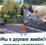 «Мы в деревне живём?»: пермяки удивляются коровам и лошадям в городе - VikiPerm.Com