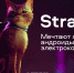 Обзор игры Stray: мечтают ли андроиды об электрокотах? - V-Kurse.Ru