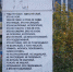 Пермский художник FFCHW создал новый стри-арт - V-Kurse.Ru
