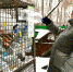 В Перми на припаркованную машину свалился мусорный контейнер - Газета Звезда