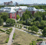 Пермь первая в России – по степени озеленения, но этого мало - Газета Звезда